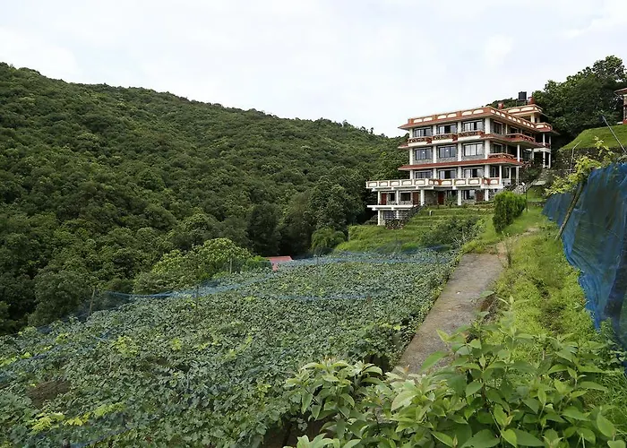 Pataleban Vineyard 3*